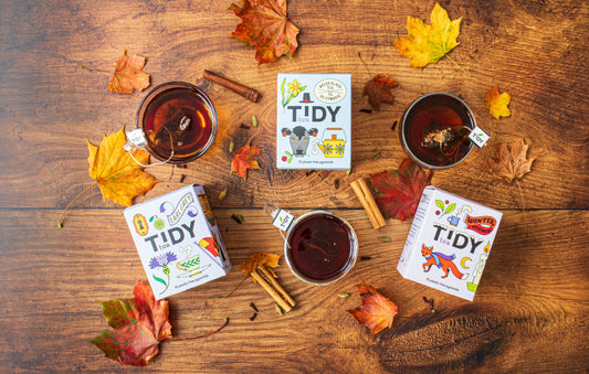 Homemade Autumn Drink Recipes